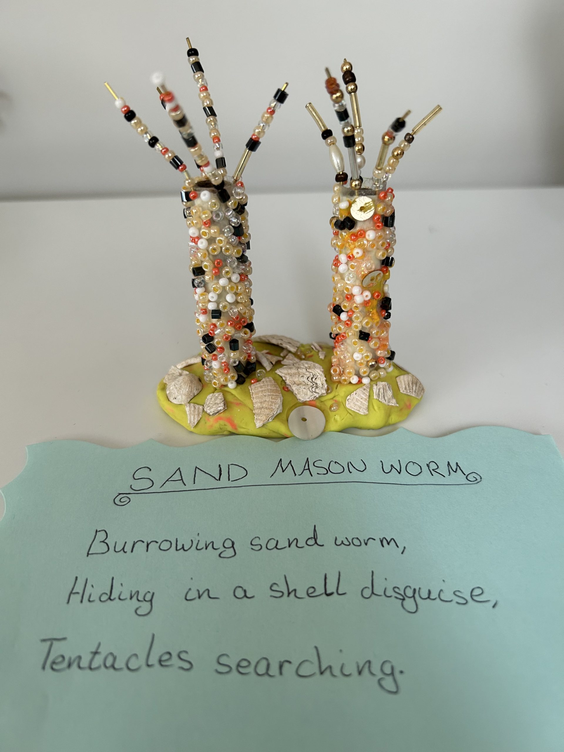 Sand Mason Worm - Annabelle Murphy