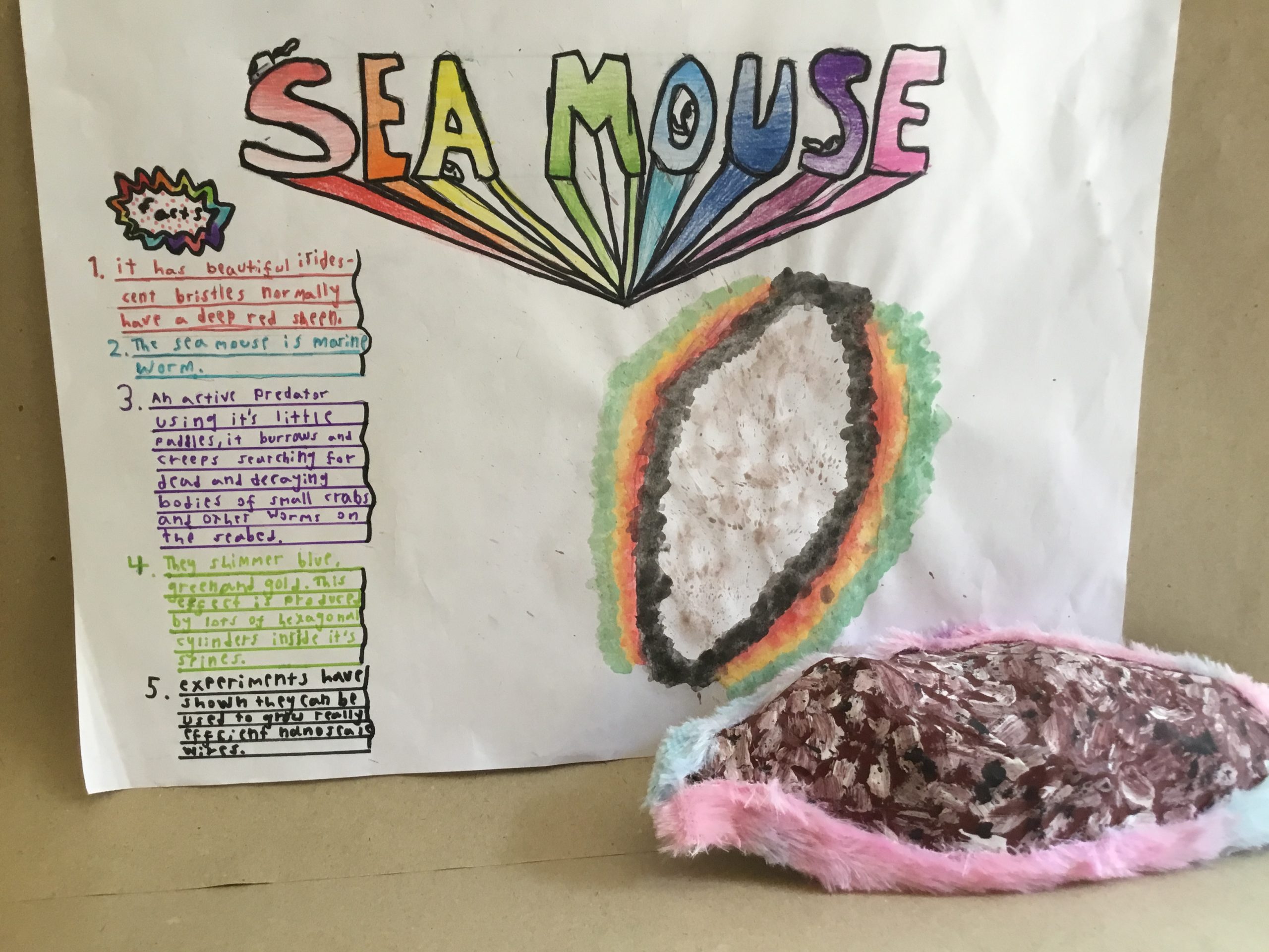 Sea mouse by Noa EMAS