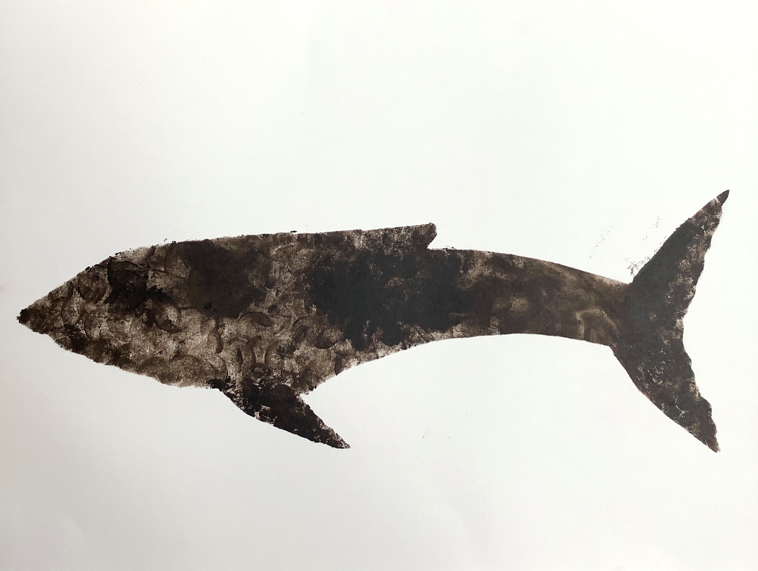 Humpback Whale by Hania Martynuska