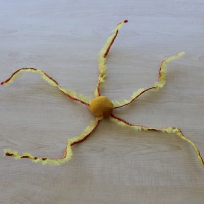 Brittle Star - Assisted Volunteers