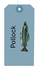 Baddock - Pollock
