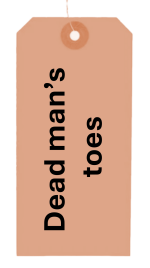 Dead Man's toes