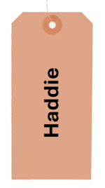 Haddie