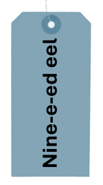 Nine-e-ed eel