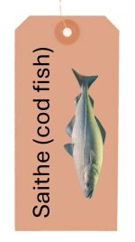 Poodlie - Saithe
