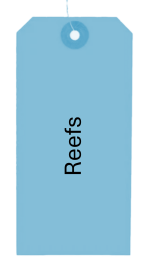 Scaps - Reefs