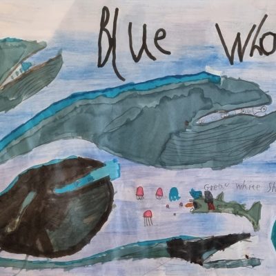 Blue Whale - Sean Mcfie-Sneddon