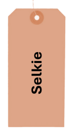 Selkie