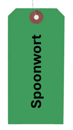 Spoonwort