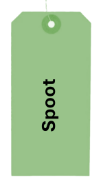 Spoot