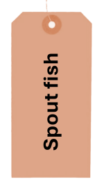Spout Fish