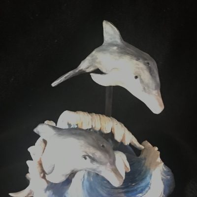 Bottlenose Dolphin - Valerie Duncan