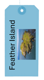 fIDRA - fEATHER iSLAND